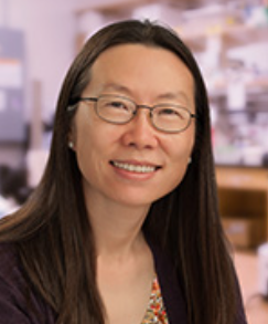 Yishi Jin