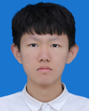 Boru Liu