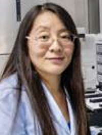 Lixin Hong