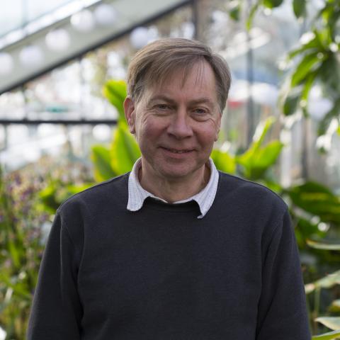 Geoffrey Kite