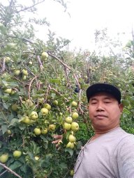 Rianto Wibowo