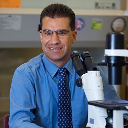 Michael A. Palladino
