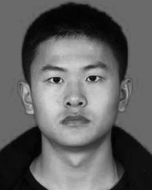 Luji Guo