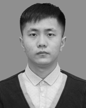 Hong Niu
