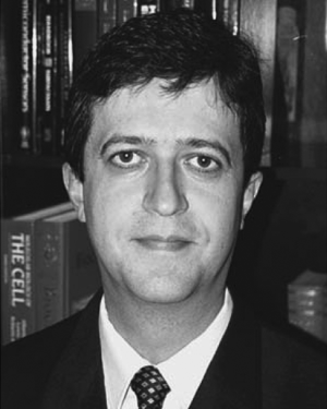 Herc P. Neves