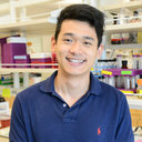 Wenlong Cai