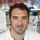 Matthias Bozza