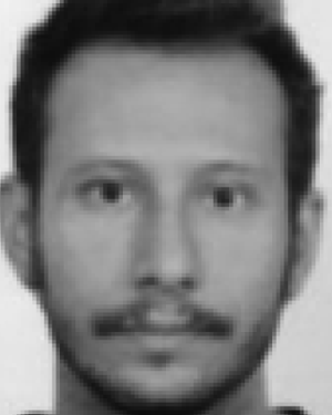 Andrea Aliperta
