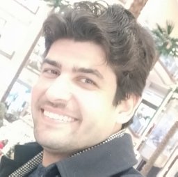 Ahmed H. Arnous