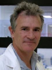 Peter Noakes