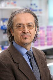 Branislav Nikolic