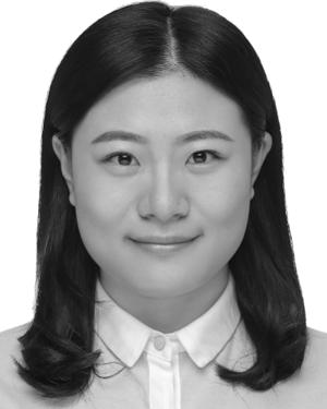 Qingyu Li