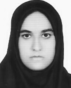 Z. Mohammadi