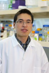 Yanyong Kang