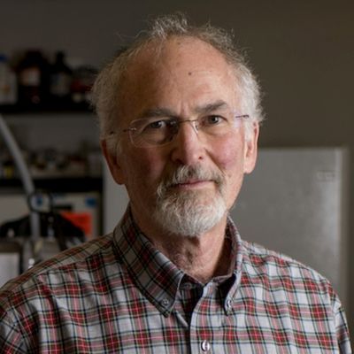 Bruce J. Paster