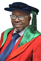 Adewale Dipeolu