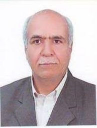 Hassan Mansouri-Torshizi