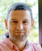 David E. Losada