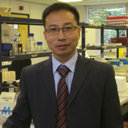 Son Anh Hoang