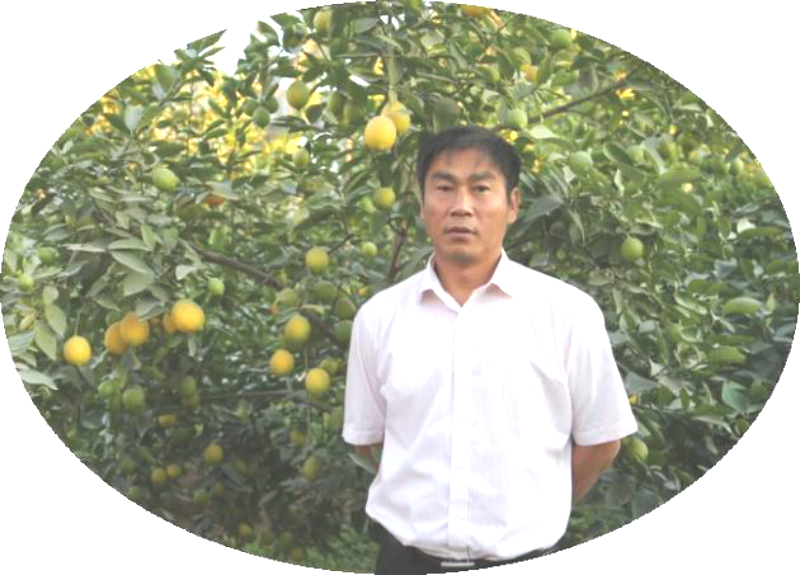 Jianqiang Yue