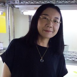 Yuki Yanagawa