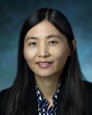 Yingli Fu
