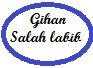 Gihan S Labib