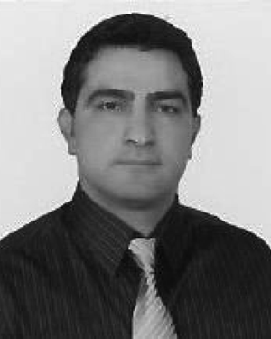 Bulent Ergin