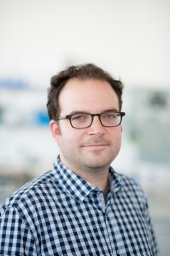 David Hoogewijs
