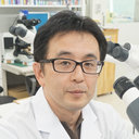 Daisuke Niino