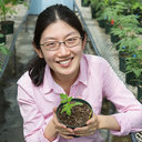 Yang Bai