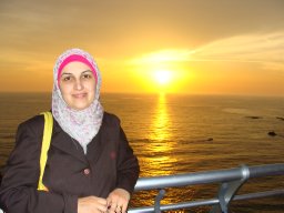 Alaa J Kadhim