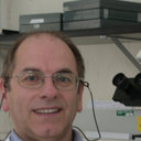 Giuseppe Arcangeli