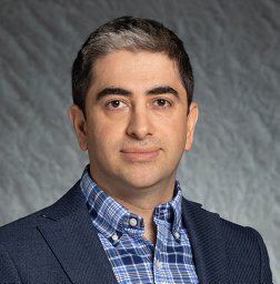 M. Hassan Najafi