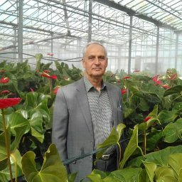 Mostafa Arab