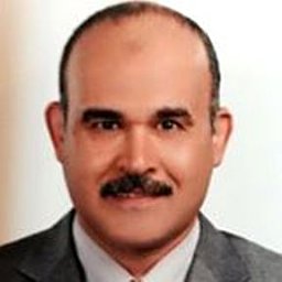 Mahmoud E.M. Ouaf