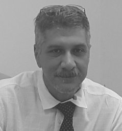 Yaser Elsayed Hawas