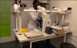 Olanrewaju Fatola