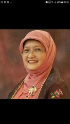 dwi novirani