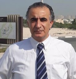 P. Hanifi-Moghaddam