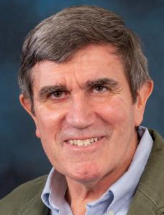 Brian H Davison