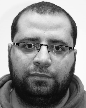 Karam M Sallam