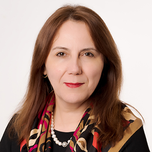Gül E. Kremer