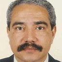 I.B. da Silva