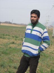 Bilal Tali