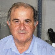 George Theophilidis