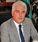 Mahir Alkan