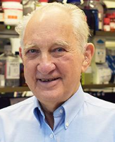 Edward D. Korn