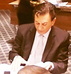 Hassan M Naif