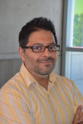 Amit P Bhavsar